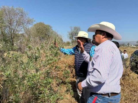 Ayuntamiento de Ixtacuixtla lleva a cabo importante recorrido para el reconocimiento de afluentes contaminados hacia el río Atoyac imagen 9