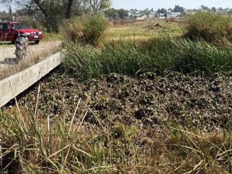 Ayuntamiento de Ixtacuixtla lleva a cabo importante recorrido para el reconocimiento de afluentes contaminados hacia el río Atoyac imagen 2