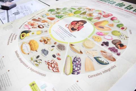 Ayuntamiento de Chiautempan emprende acciones en contra del sobrepeso y la obesidad imagen 4