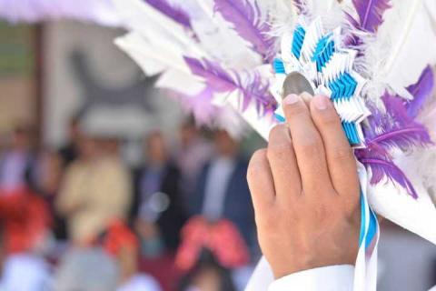 Entrega de incentivos económicos a camadas del carnaval en Ixtacuixtla imagen 21