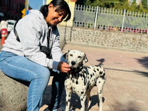 Éxito Rotundo en la Jornada de Esterilización de Mascotas en Tepeyanco imagen 2