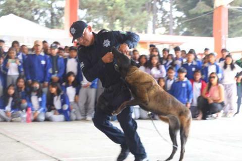 Se llevó a cabo la Feria de Seguridad Juvenil en la comunidad de San Pedro Tlalcuapan - Chiautempan imagen 1