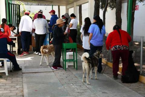 Jornada de vacunación antirrábica canina y felina registra alta participación en Tlaxcala imagen 2