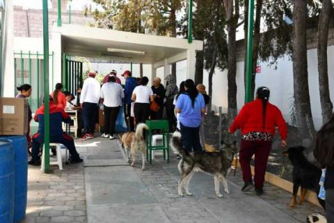 Jornada de vacunación antirrábica canina y felina registra alta participación en Tlaxcala imagen 3