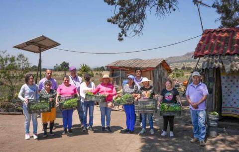 Entrega secretaría de bienestar plántulas a beneficiarios de módulos de autosuficiencia alimentaria imagen 4