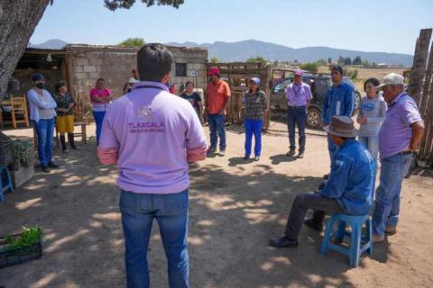 Entrega secretaría de bienestar plántulas a beneficiarios de módulos de autosuficiencia alimentaria imagen 1