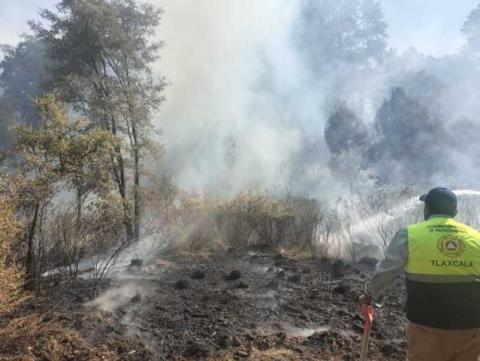 CEPC emite recomendaciones para prevenir incendios forestales imagen 1