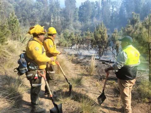 CEPC emite recomendaciones para prevenir incendios forestales imagen 2