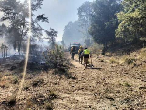 CEPC emite recomendaciones para prevenir incendios forestales imagen 3