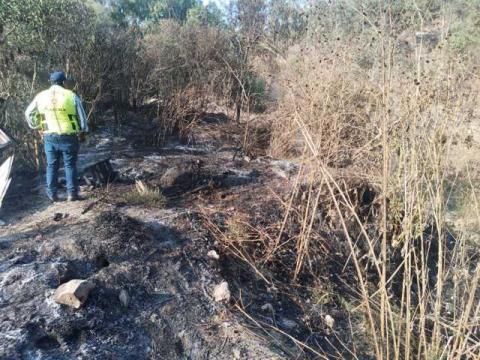 CEPC emite recomendaciones para prevenir incendios forestales imagen 4