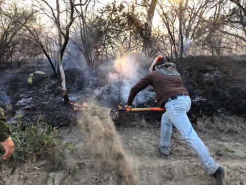 Se atienden dos incendios forestales en el municipio de Ixtacuixtla imagen 7