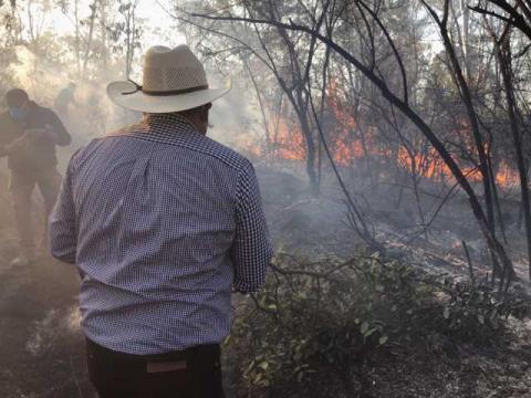 Se atienden dos incendios forestales en el municipio de Ixtacuixtla imagen 5