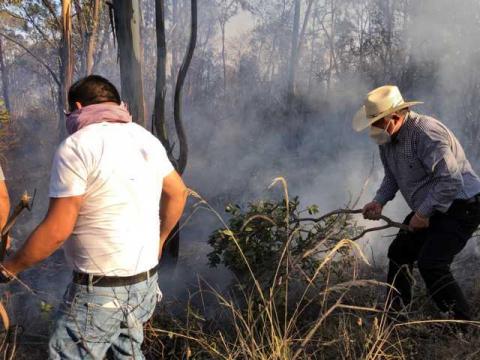 Se atienden dos incendios forestales en el municipio de Ixtacuixtla imagen 2