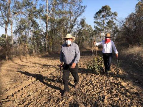 Se atienden dos incendios forestales en el municipio de Ixtacuixtla imagen 9