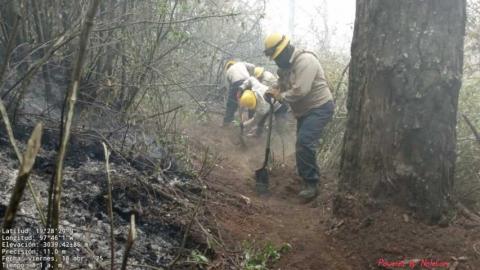 Helicópteros agilizan las labores de combate a incendio en Atltzayanca imagen 3