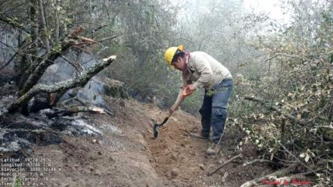 Helicópteros agilizan las labores de combate a incendio en Atltzayanca imagen 6