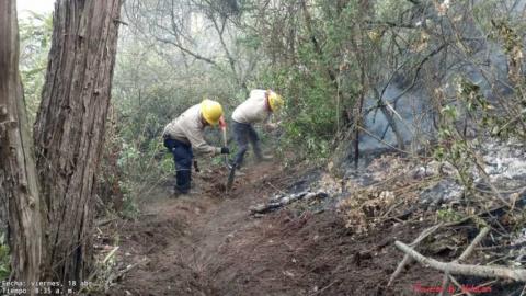 Helicópteros agilizan las labores de combate a incendio en Atltzayanca imagen 5