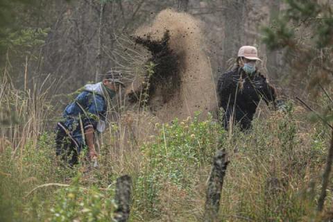 Combate a incendio en Atltzayanca alcanza un 100% de territorio bajo control y 80% de liquidación imagen 5