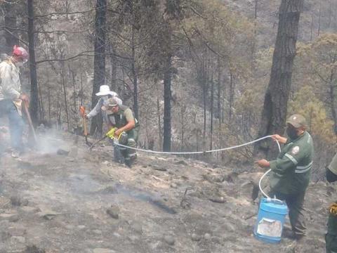 Los Ángeles Verdes llegaron a Altzayanca imagen 7