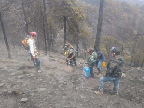 Los Ángeles Verdes llegaron a Altzayanca imagen 3