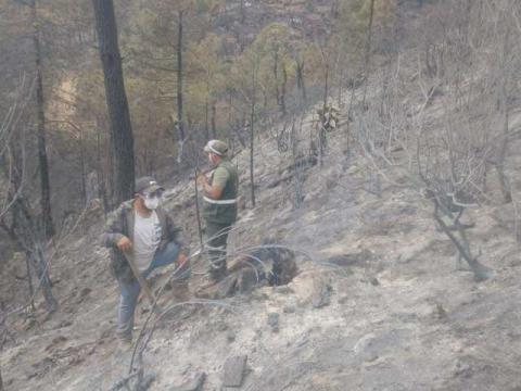 Los Ángeles Verdes llegaron a Altzayanca imagen 4