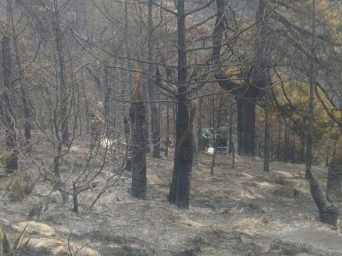 Los Ángeles Verdes llegaron a Altzayanca imagen 9
