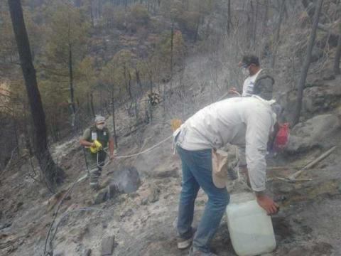 Los Ángeles Verdes llegaron a Altzayanca imagen 1
