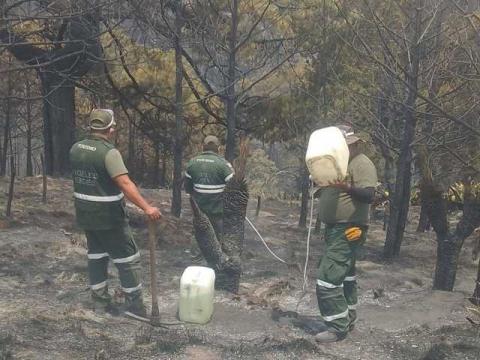 Los Ángeles Verdes llegaron a Altzayanca imagen 8