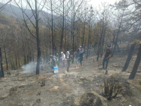 Los Ángeles Verdes llegaron a Altzayanca imagen 6