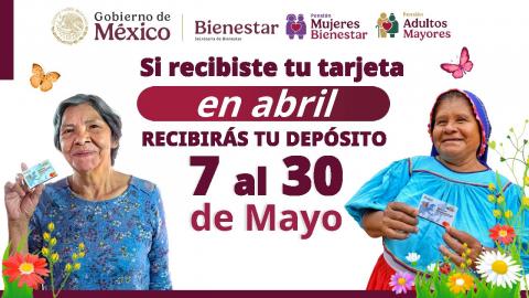 Del 7 al 30 de mayo se dispersa el pago de Pensiones y Programas para el Bienestar: Ariadna Montiel imagen 3