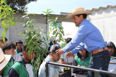 En marcha Proyecto Integral de Huertos de Durazno, en Tetla imagen 8