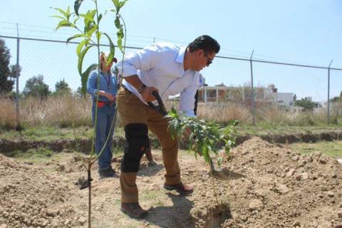 En marcha Proyecto Integral de Huertos de Durazno, en Tetla imagen 12