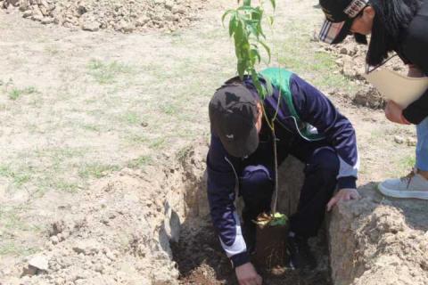En marcha Proyecto Integral de Huertos de Durazno, en Tetla imagen 11