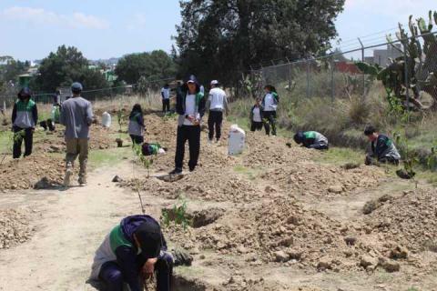 En marcha Proyecto Integral de Huertos de Durazno, en Tetla imagen 15