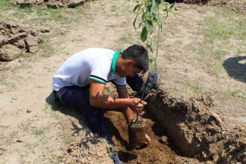 En marcha Proyecto Integral de Huertos de Durazno, en Tetla imagen 14
