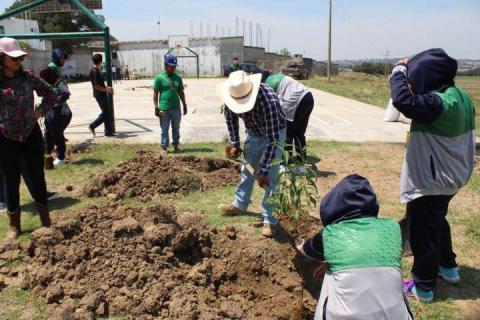 En marcha Proyecto Integral de Huertos de Durazno, en Tetla imagen 13