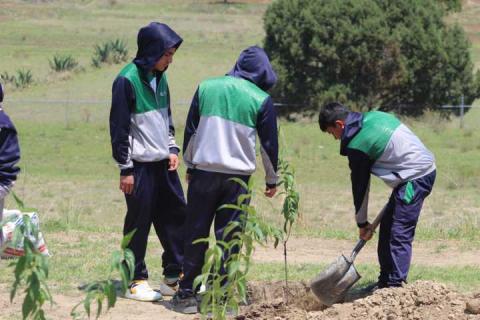 En marcha Proyecto Integral de Huertos de Durazno, en Tetla imagen 7