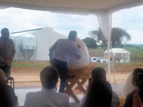 Granja El Calvario inaugura operaciones en Huamantla con más de 250 nuevos empleos imagen 1