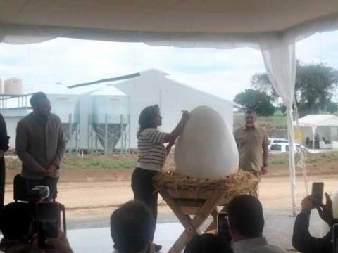 Granja El Calvario inaugura operaciones en Huamantla con más de 250 nuevos empleos imagen 7