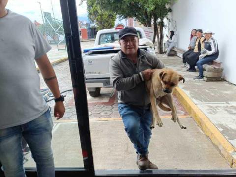 Exitosa campaña de Esterilización Canina y Felina en Tlaltelulco imagen 3