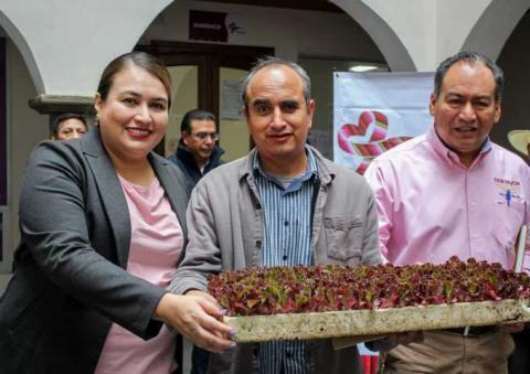 Blanca Angulo impulsa desarrollo de huertos familiares en Chiautempan imagen 2
