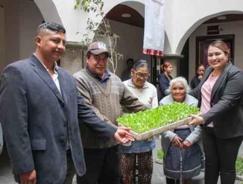 Blanca Angulo impulsa desarrollo de huertos familiares en Chiautempan imagen 1