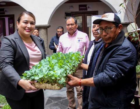Blanca Angulo impulsa desarrollo de huertos familiares en Chiautempan imagen 3