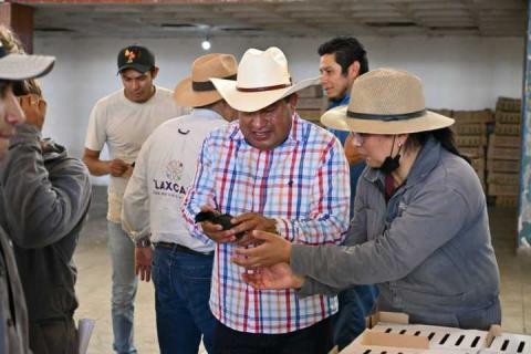 Más de 400 familias de Ixtacuixtla reciben apoyo agropecuario imagen 2