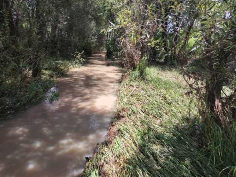 Recorren autoridades el río Ajejela para evaluar su estado y prevenir contingencias imagen 2