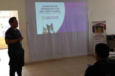 Personal del ayuntamiento de Tepetitla se capacita para la correcta aplicación del reglamento en materia de bienestar animal imagen 1