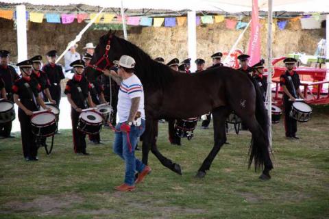 Se inaugura con gran éxito la Expo Ganadera 2025 en Huamantla imagen 4