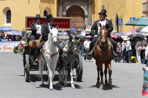 Huamantla celebra con orgullo el Desfile del Arte Efímero y de la Dalia 2025 imagen 8