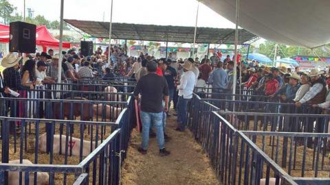 Realizan en Huamantla la primera Subasta Porcina en la Expo Ganadera imagen 3