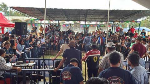 Realizan en Huamantla la primera Subasta Porcina en la Expo Ganadera imagen 4